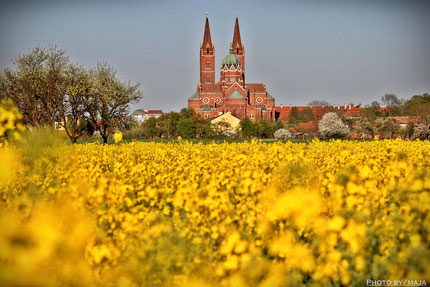 St Peter Cathedral in Dakovo