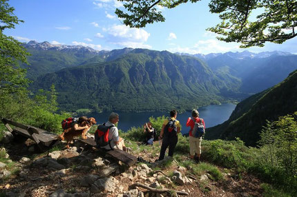 Hiking in Bohinj