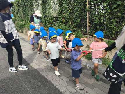 ほしぐみさんは、園周辺にお散歩に出かけました。「かわいいおはながさいてる！」「ちっちゃいちょうちょがいる！」「みて！おおきいはっぱ！」とたくさんの発見をしながら楽しそうに歩いていました！