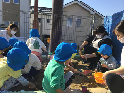 今日はほし組さんは砂場で遊びました。カップに砂を詰めてゼーリーやアイスを作って「どうぞ！」「おいしいよ！」とお友達に食べさせてあげていました。