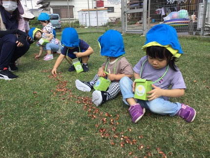 朝晩は涼しく、過ごしやすい時期になってきましたね。日中はまだまだ気温も上がり、少しジメジメしますが秋を感じるようになりました。そらぐみさん、ひかりぐみさんはお散歩バッグを首から下げて、テラスでどんぐり拾いをしました！