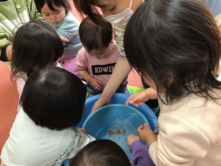気温が下がり、外に置いておいた、バケツの中の水が氷になっていました。感触を楽しむ、そら組さんとひかり組さんでした。