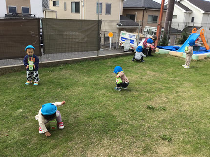 今日は、ひかりぐみさんとそらぐみさんはテラスでどんぐり拾いをしました。「あった！」と嬉しそうにどんぐりをお散歩バックに入れていました！どんぐりの詰まったお散歩バックを手でガラガラと振って、「いっぱい！いっぱい！」と嬉しそうに歩いていました。