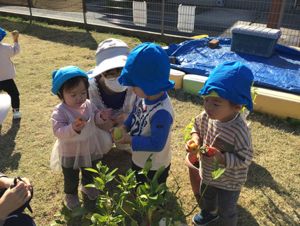 レモンは思ったよりもとっても重くて、「おっきい！おっきい！」とびっくりしていました！