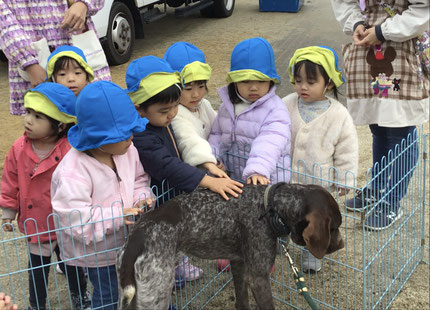 今日は高浜こども園に移動動物園を見にいきました。「おっきいいぬ、さわれた！」「さらさら！」とちょっとドキドキしながら動物と触れ合っていました！