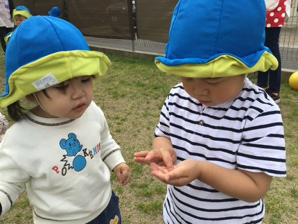 「てんとう虫見つけたよー」と見せてくれました。