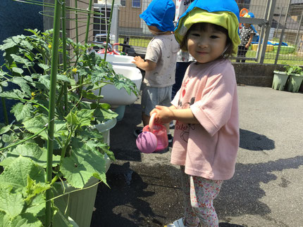 「きゅうりにあげる！」「なすにあげる！」と好きな野菜を選んであげている子もいました！