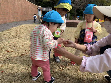 かわいいき木の実や、きれいな葉っぱも落ちていて、「キャンディみたいだね！」「おひげみたい！」と嬉しそうにお散歩バックに入れていました。