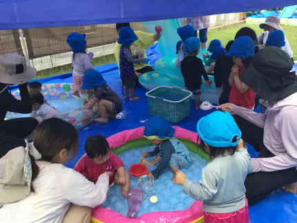 みんな大喜びで水の中に入り、お気に入りのおもちゃ見つけて遊んでいました！