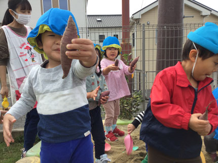 ほしぐみさんたちも、サツマイモを見つけると「わーい！」「見て見てー！」と見せてくれました♪