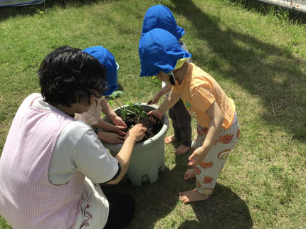「すなのおふとんだよ！」と、やさしく砂をかけてあげている子もいました！