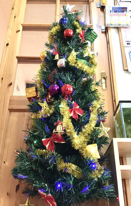 玄関のクリスマスツリーも「キラキラー！」とみんなに大人気です♪クリスマスが待ち遠しいですね！