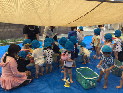 今日から水遊びが始まりました。今年度初めての水遊びでしたが、水を怖がる子もほとんどおらず、みんな楽しんでいました。