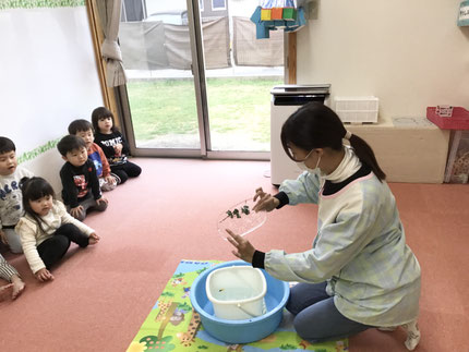 ほし組さんも、出来た氷を、みんなで見ました。絵本では見たことがありましたが、本物の氷に興味津々でした。
