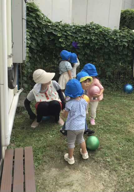 「かわいい花があったよ！」と昼顔の花を楽しそうに摘んでいるお友達もいました！
