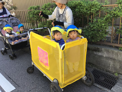 そら組さんとひかり組さんは旧鬼ハウス方面にお散歩に行きました！