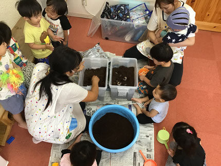 幼虫を新しい土に移し替えると、「いっぱいいる！」「うごいてるよ！」「つちにもぐった！」と楽しそうに観察していました！