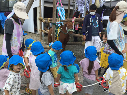 明日からおまんと祭りなので、今日は青木町会館に馬を見に行きました。「鈴の音がする！」「馬の声がする！」と歩いている時から楽しみにしていた子ども達。大きな馬を見ると大喜びでした！