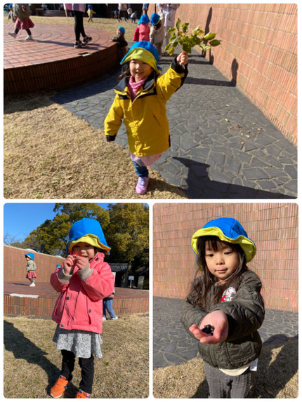 「先生みてみて！かわいい葉っぱあった！」「ちっちゃい実みつけた！」と落ち葉や木のみを拾って見せてくれました。