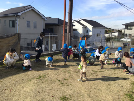 今日はみんなでどんぐり拾いをしました。「どんぐりあった！」「このどんぐり帽子がついてる！」とみんな楽しそうに拾っていました！