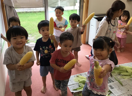 見て！見て！剥けたよ。ひげも取りました。自分で剥いたとうもろこしを持ってみて大興奮の子どもたちでした。今日のおやつに食べようね。絶対美味しいはずだよ。