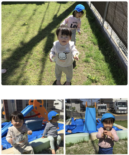 ひかりぐみさんは、ダンゴムシを探したり、たんぽぽを見つけて遊びました。たんぽぽの綿毛は大人気で、みんな、手でふわふわの綿毛を触ったり、フーッ！と綿毛を飛ばして楽しんでいました。