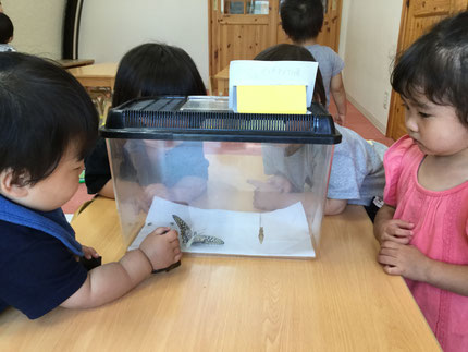 興味津々の子ども達！「ちょうちょになったよ！」と嬉しそうに教えてくれました。