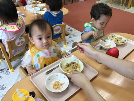 ドライカレーのレシピは玄関の水槽の横にあります。ぜひお家でも作ってみてくださいね！