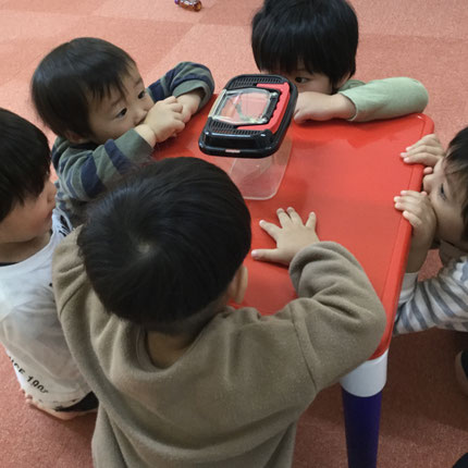 飼育ケースの中をじーっと覗き込んで、観察していましたよ。