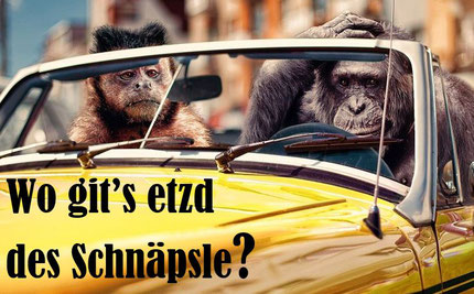 Affen im Auto "Wo git's etztd des Schnäpsle?"