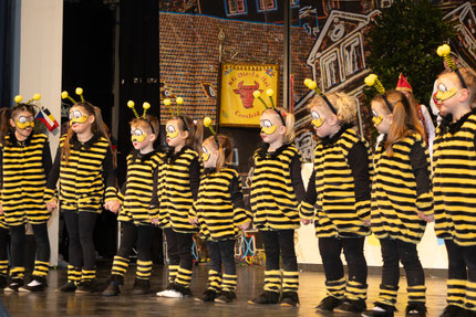 Tanz der Minis - Bienen