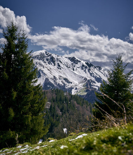 Schneebedeckte Gipfel des Massif des Bauges mit Nadelbäumen im Vordergrund unter blauem Himmel mit Wolken