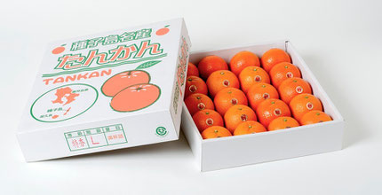 特秀品
