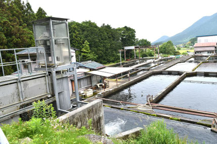 左側が発電施設。2020年に稼働