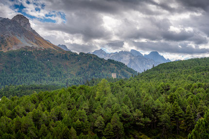 Blick auf den Turm Belvedere in Maloja