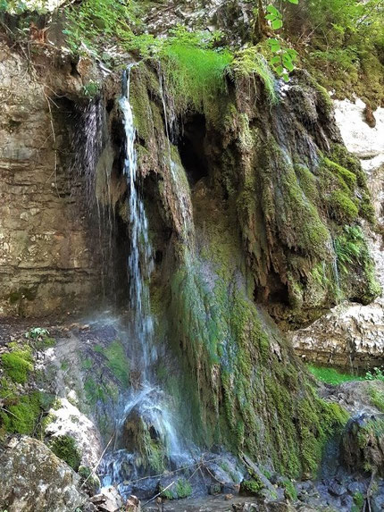 Sinterbildung im Tannegger Wasserfall