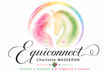Site de equiconnect !
