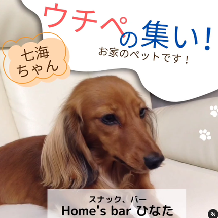 ウチペ(お家)の集いの画像