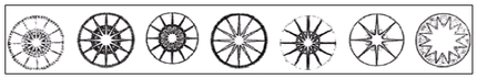 Fig. 1. Examples of central “stars” on the centre of the tympanum