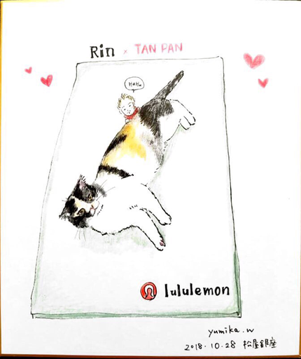 與倉豪 細密ペン画 猫 與倉豪 細密ペン画 猫 與倉豪 細密ペン画 猫