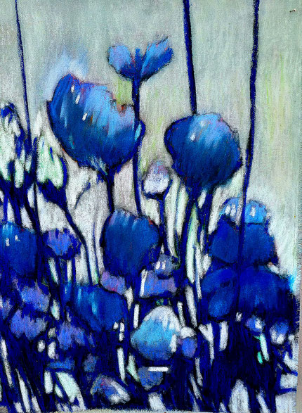 Rob Koenders