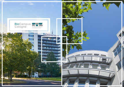 BioCampus und RTZ - Technologie-Schmieden in Köln 