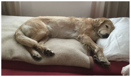 Genna liegt im Bett und schläft.