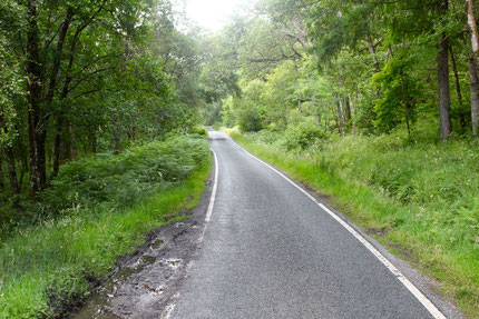 "Single road track" zwischen Moidart und Ardnamurchan