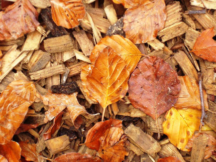 Garden waste