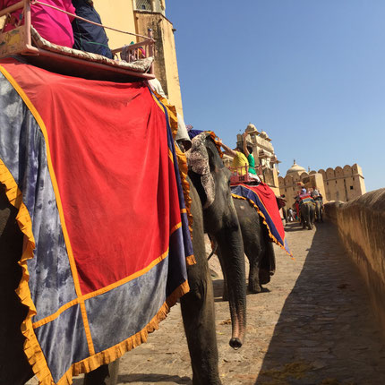 Explore the Indian culture through 14 Days Rajasthan Tour designed by Maasa India Tourism, the travel agent in Delhi specialized for private tour packages . Jaipur Amber Fort