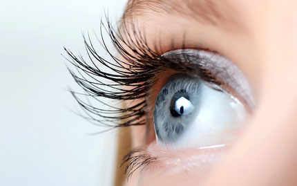 Auge, Wimpern, Augenlid, blaue Augen, fokussierter Blick