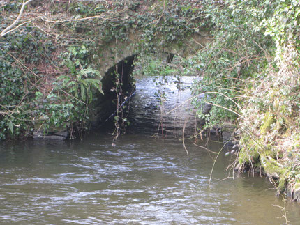 Pont ar Zimarch, Koad ar Vouster en Landeleau