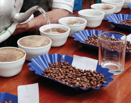 café, cafe, café en grano, cafe en grano, café molido, cafe molido, café colombiano, cafe Colombiano, , 100% colombianao, compra lo nuentro,Colombia, cafe de Colombia, juanvaldez, amor perfecto, el mejor café, catación, eventos, lanzamientos, catering