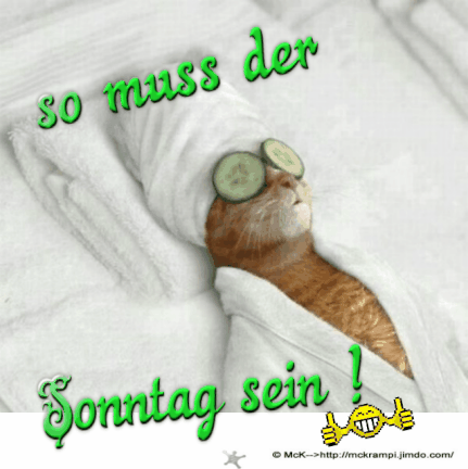 Sonntag Bilder Lustig Kostenlos Sonntag Bilder Lustig Guten